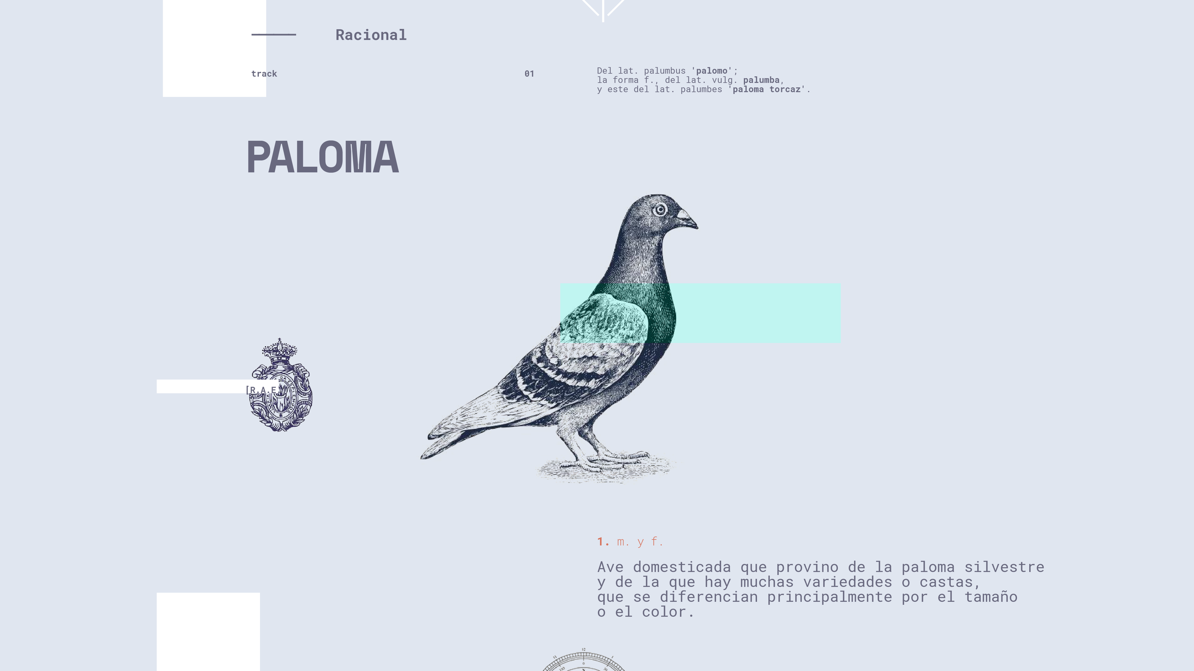 Paloma Nieri Graphic Designer Lima Peru Guapo Design Studio identity logotype designed by Esteban Ibarra