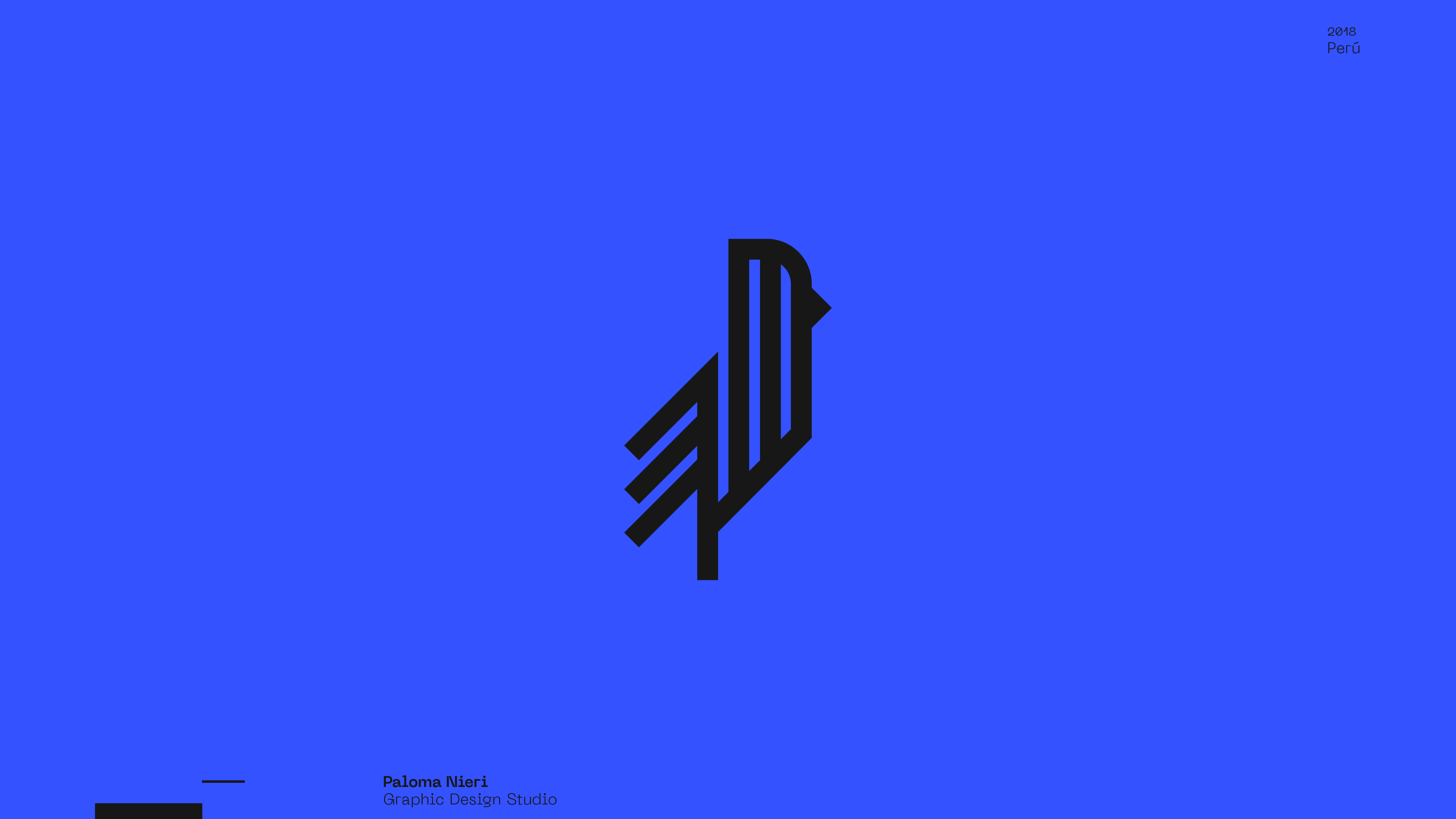 Guapo Design Studio by Esteban Ibarra Logofolio 2017 2018 logo designer — Paloma Nieri Studio