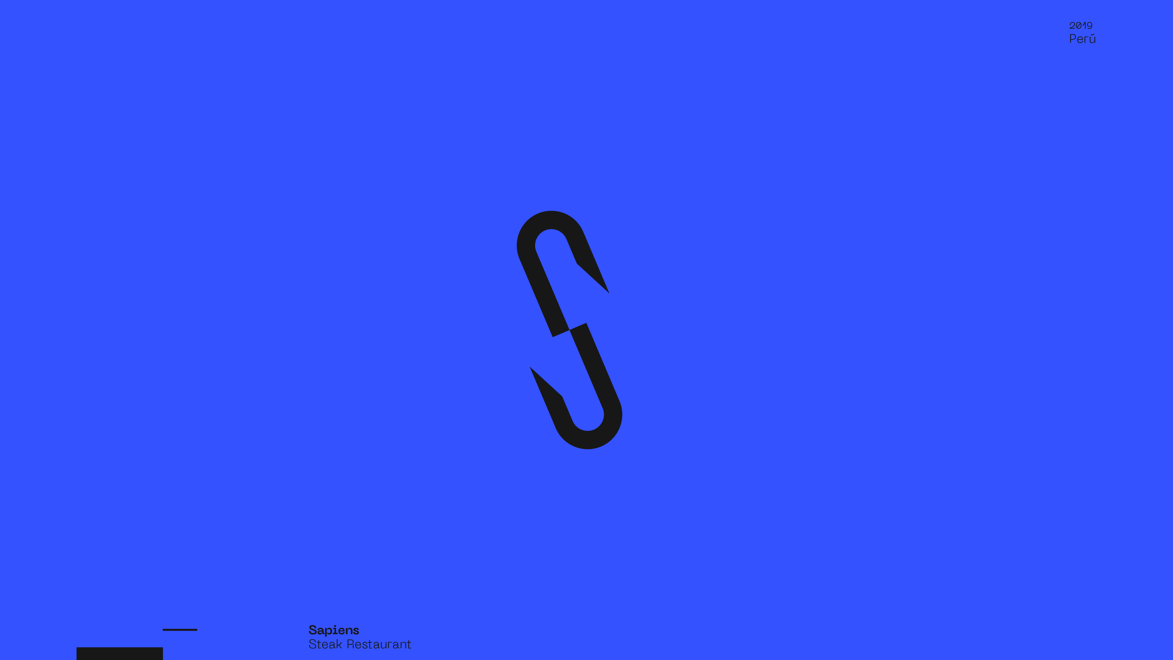 Guapo Design Studio by Esteban Ibarra Logofolio 2019 logo designer — Sapiens