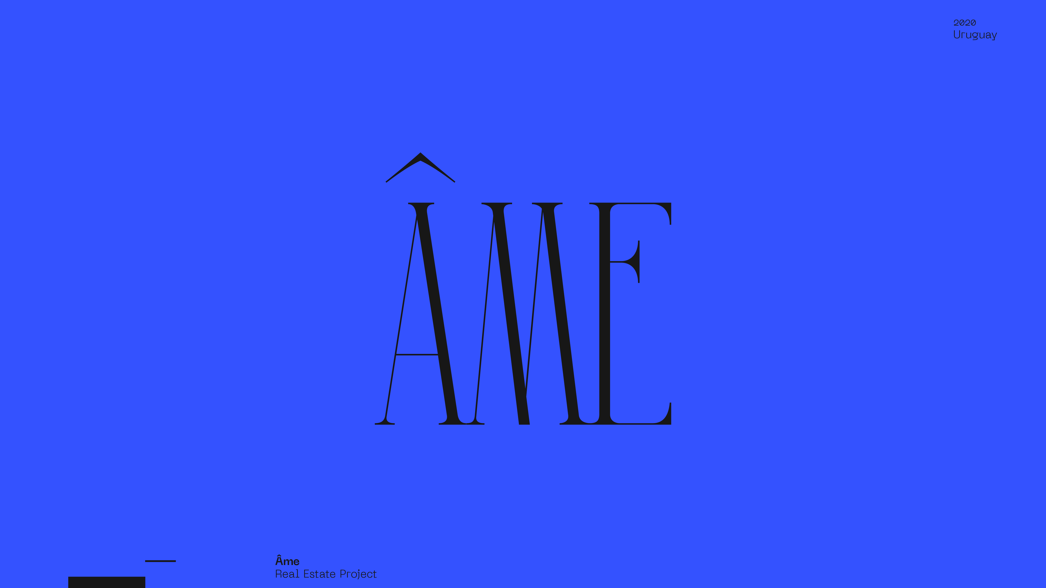 Guapo Design Studio by Esteban Ibarra Logofolio 2020 logo design — Ame by Ixou