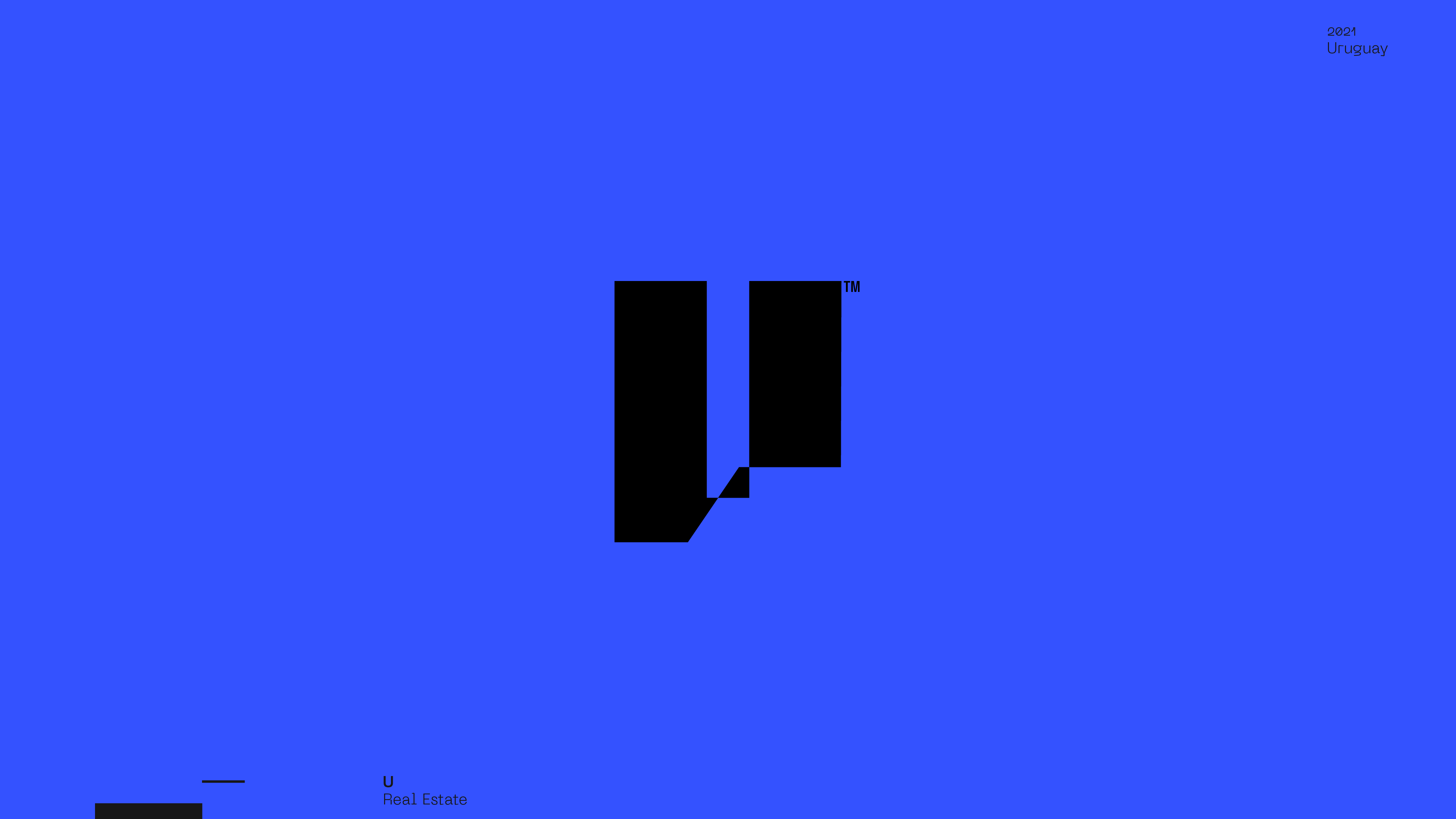 Guapo_Design_Studio_by_Esteban_Ibarra_Logofolio_2021_U_Real_Estate