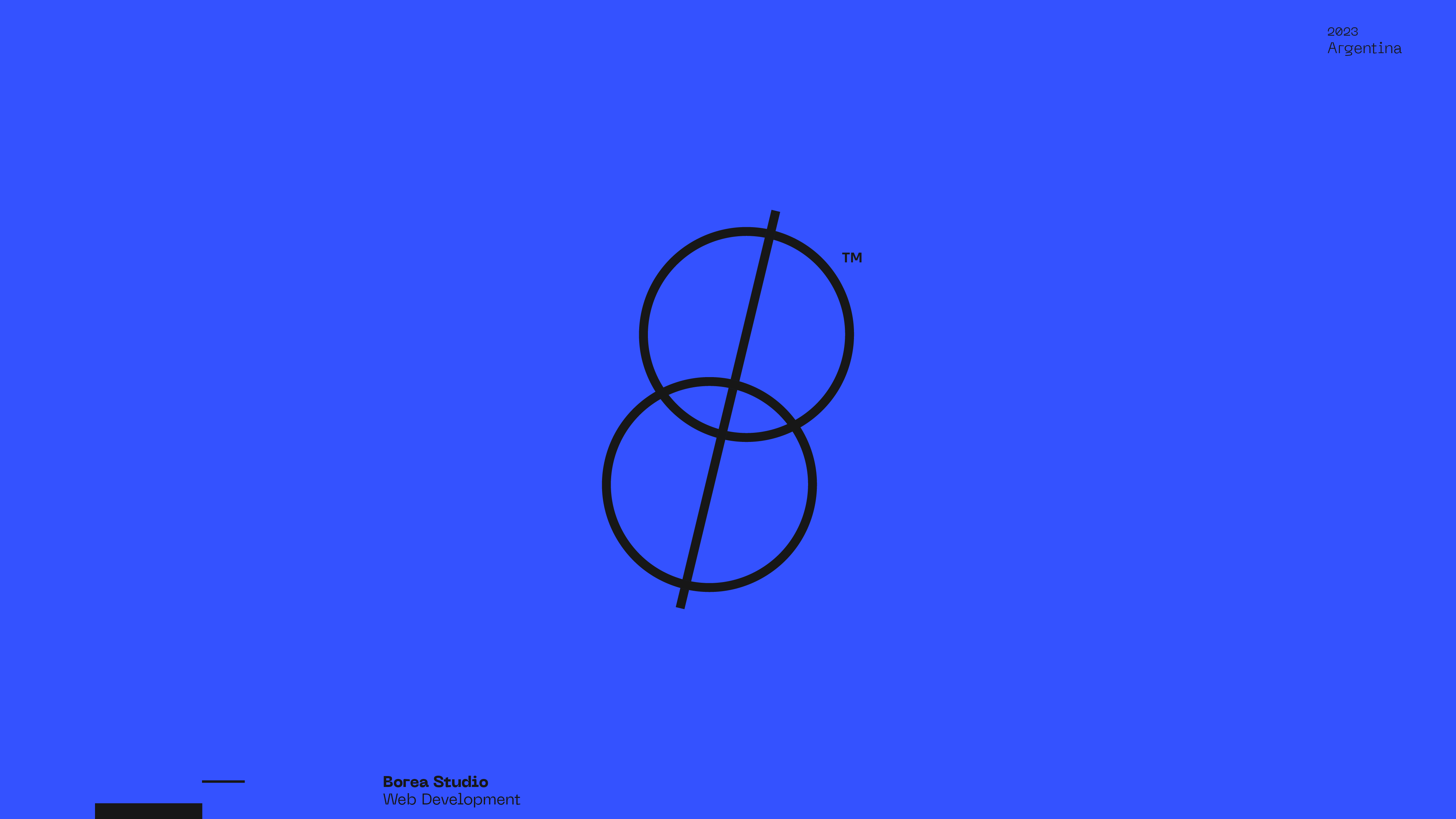 Guapo Design Studio by Esteban Ibarra Logofolio 2023 logo designer — Borea