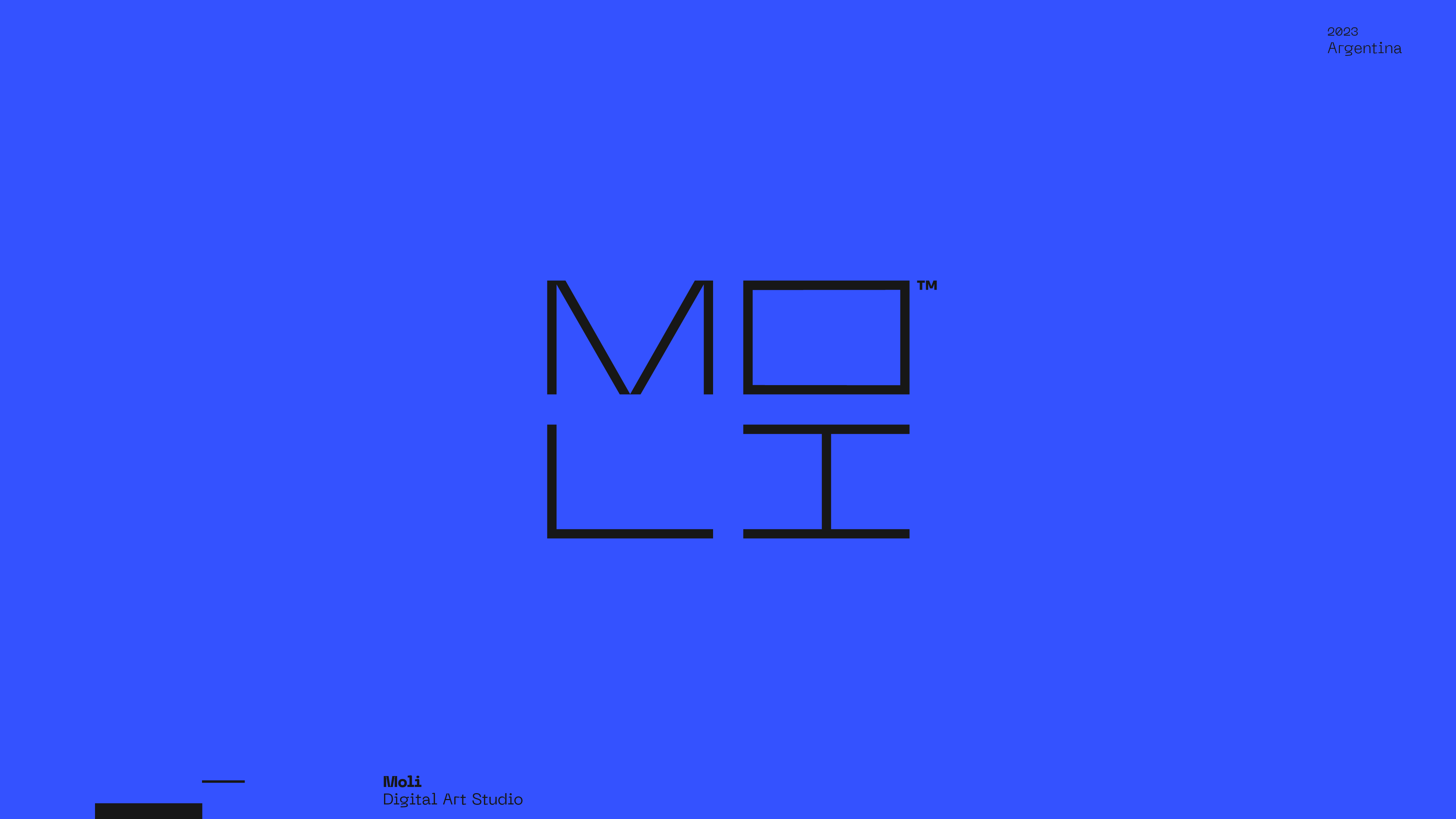 Guapo Design Studio by Esteban Ibarra Logofolio 2023 logo designer — Moli Digital Art Studio