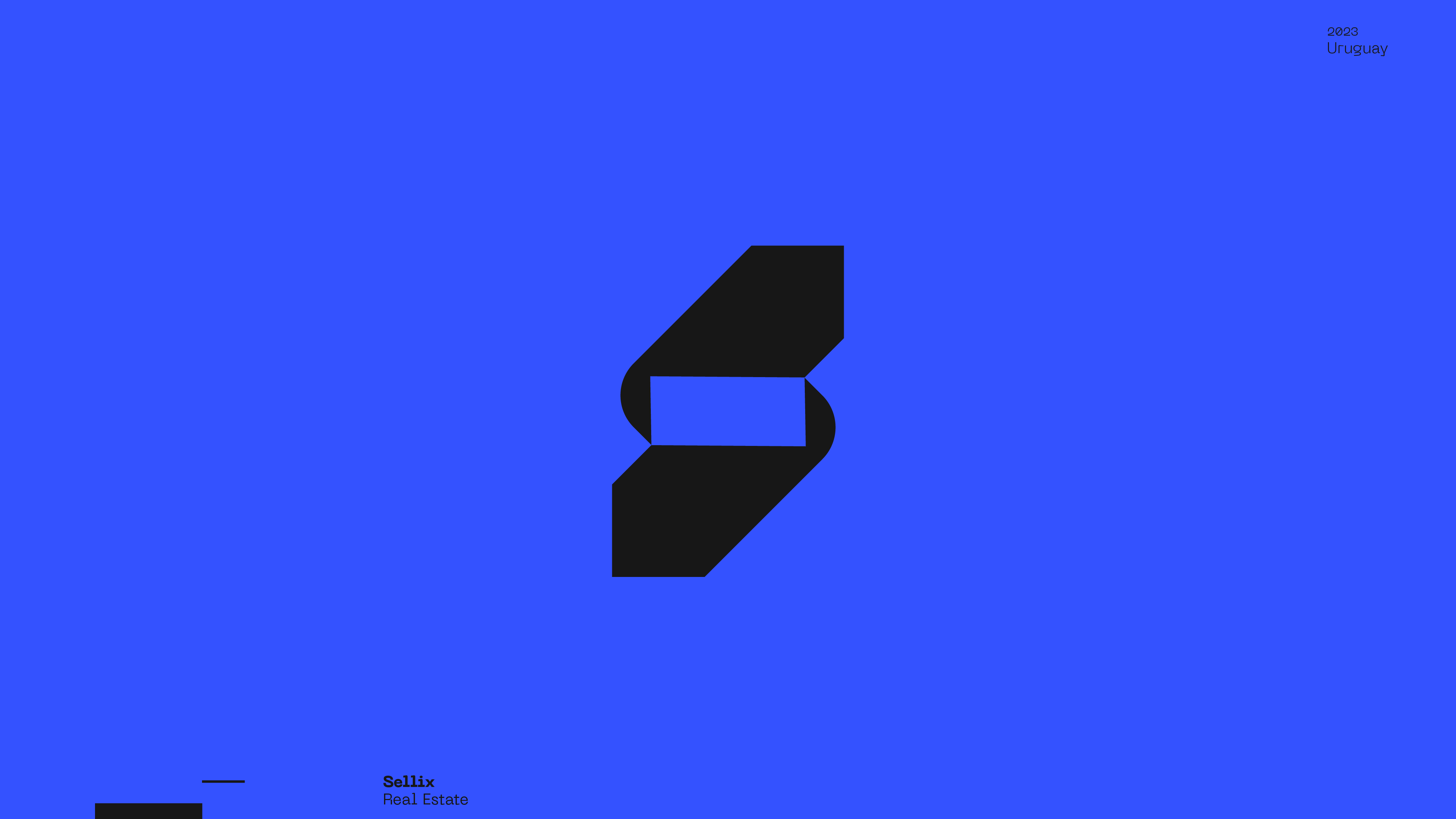 Guapo Design Studio by Esteban Ibarra Logofolio 2023 logo designer — Sellix