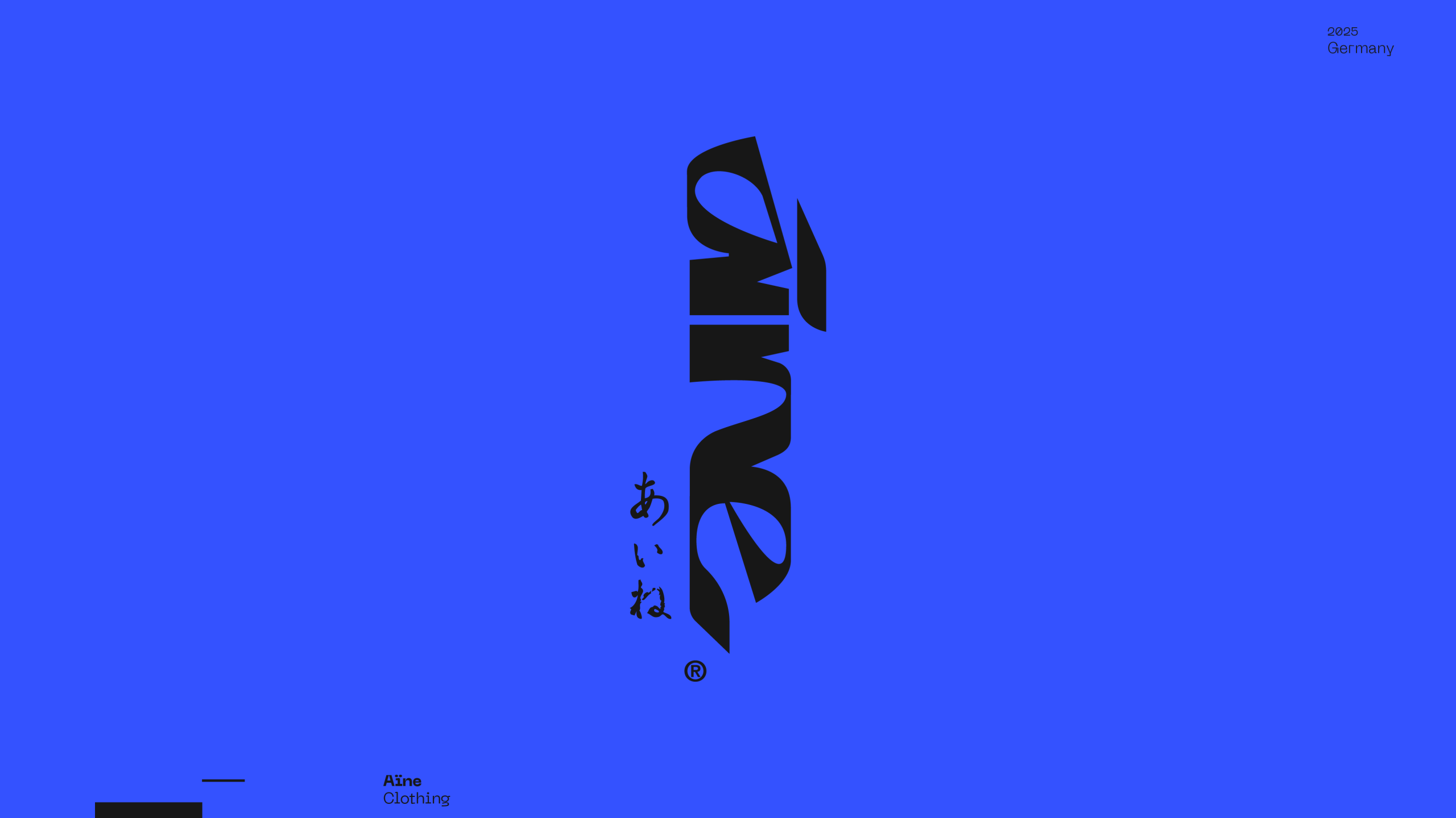 Guapo Design Studio Logo Visual Identity Aine Logo Esteban Ibarra