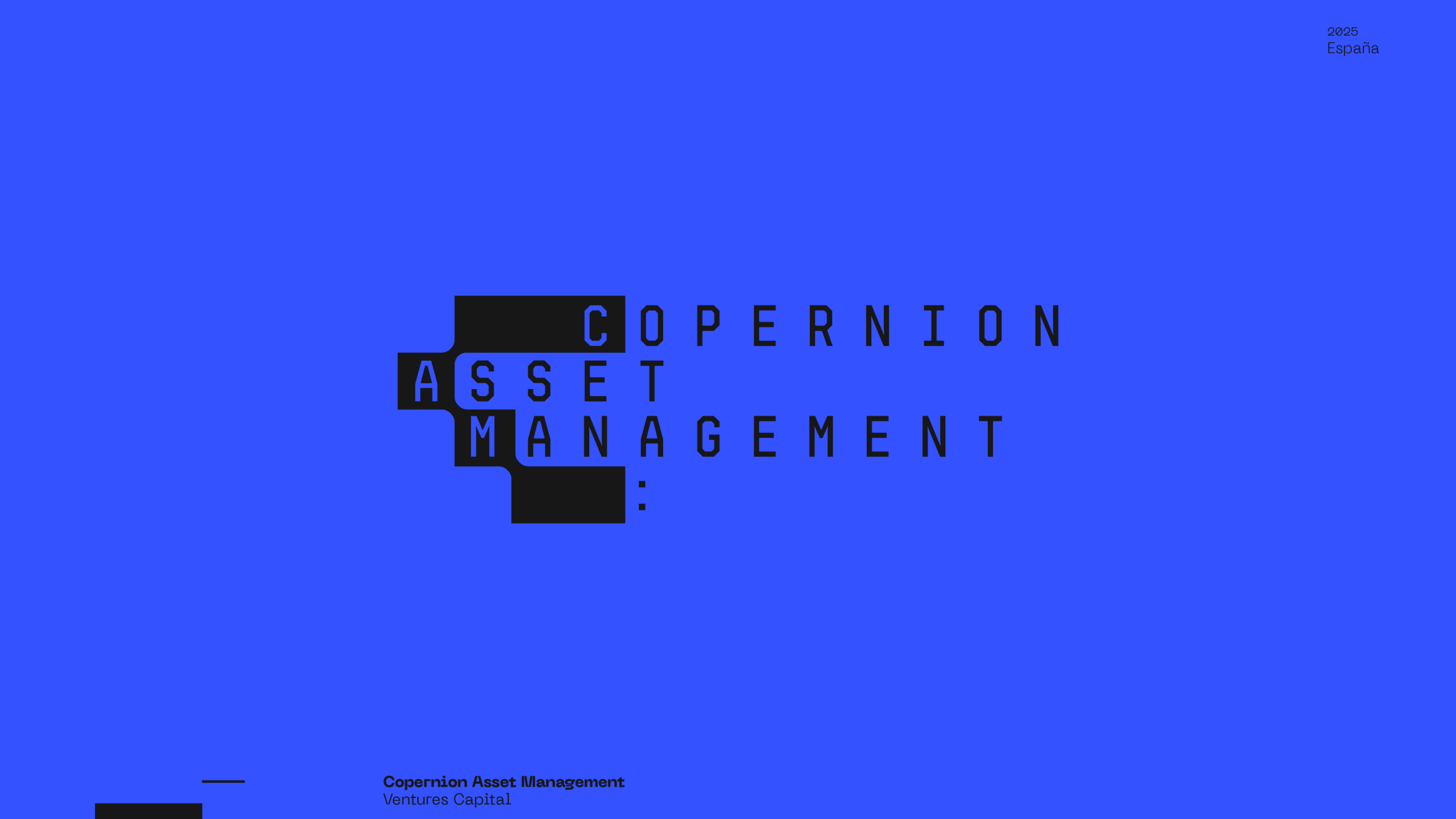 Guapo_Design_Studio_Logo_Visual_Copernion_Asset_Management_Logo_Esteban_Ibarra_01