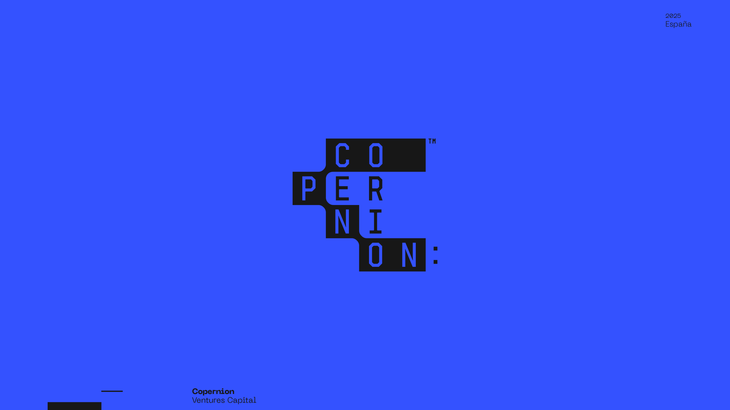 Guapo Design Studio Logo Visual Identity Copernion Logo Esteban Ibarra