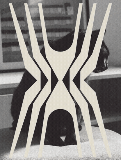 Guapo Design Studio by Esteban Ibarra Visual Identity — Bronx 01_Animated